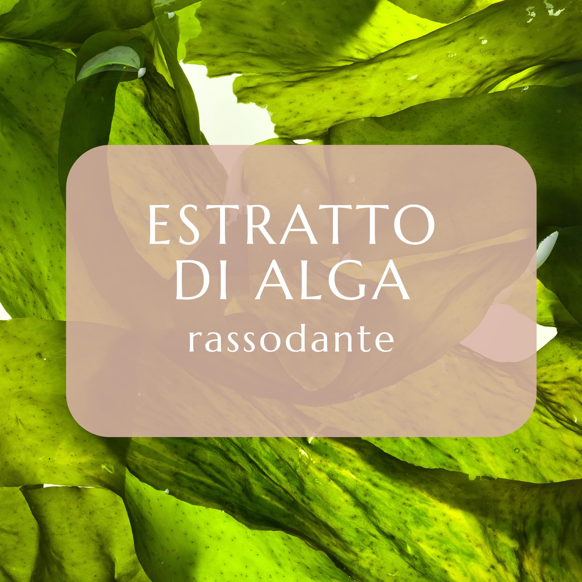 collistar-talasso-doccia-rassodante-elasticizzante-oleo-gel-nocciola-melograno-4 image 3