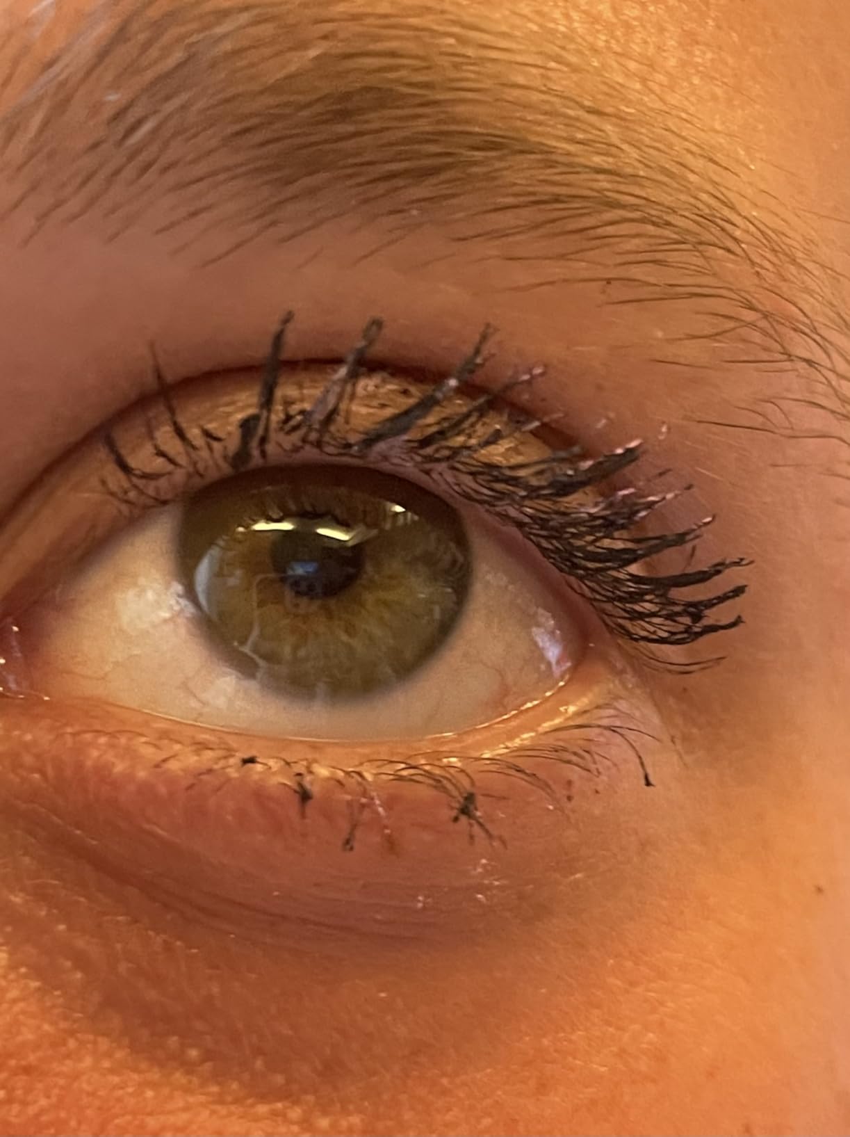 Salva mascara preferito